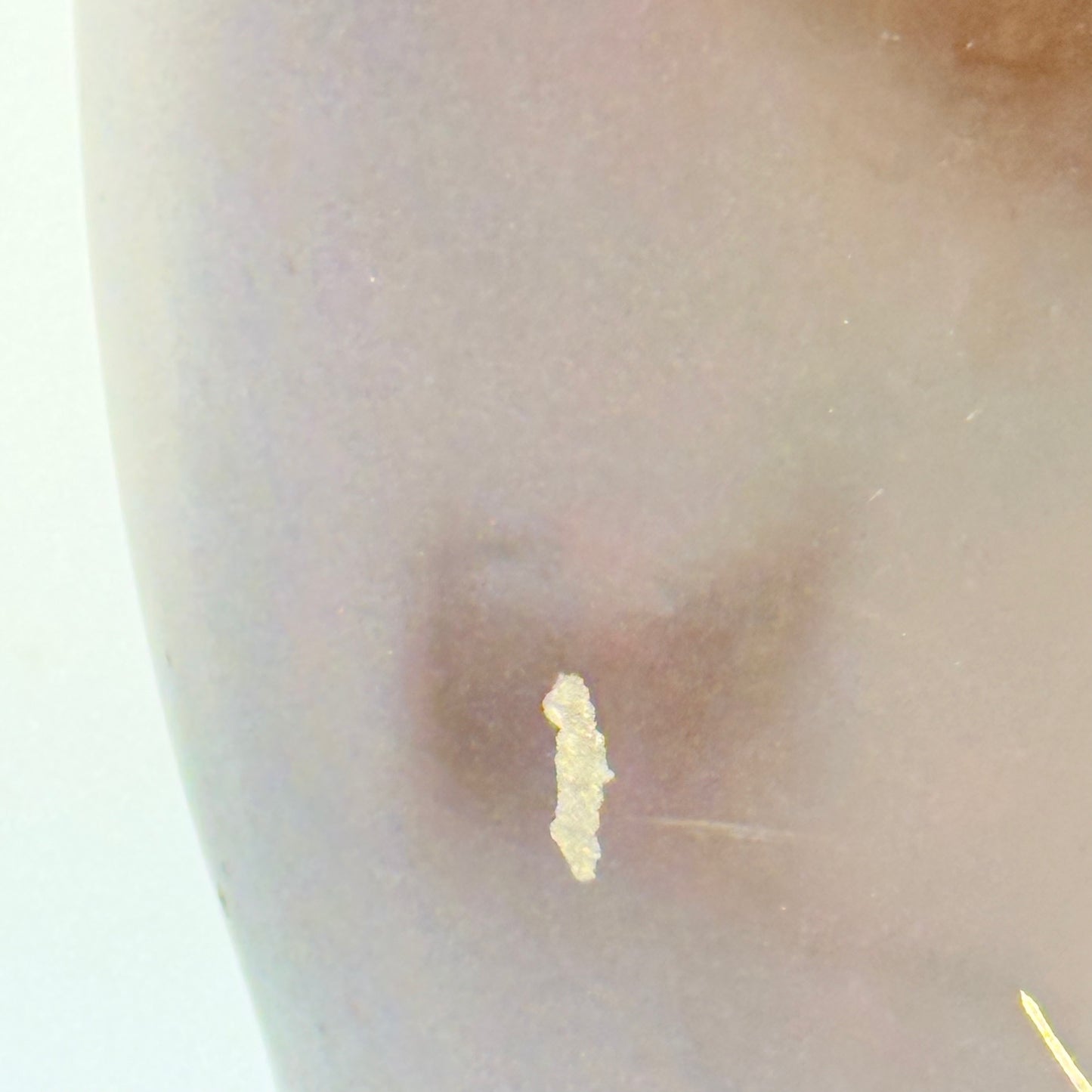 Brown Asian Ceramic Lamp with Cherry Blossoms