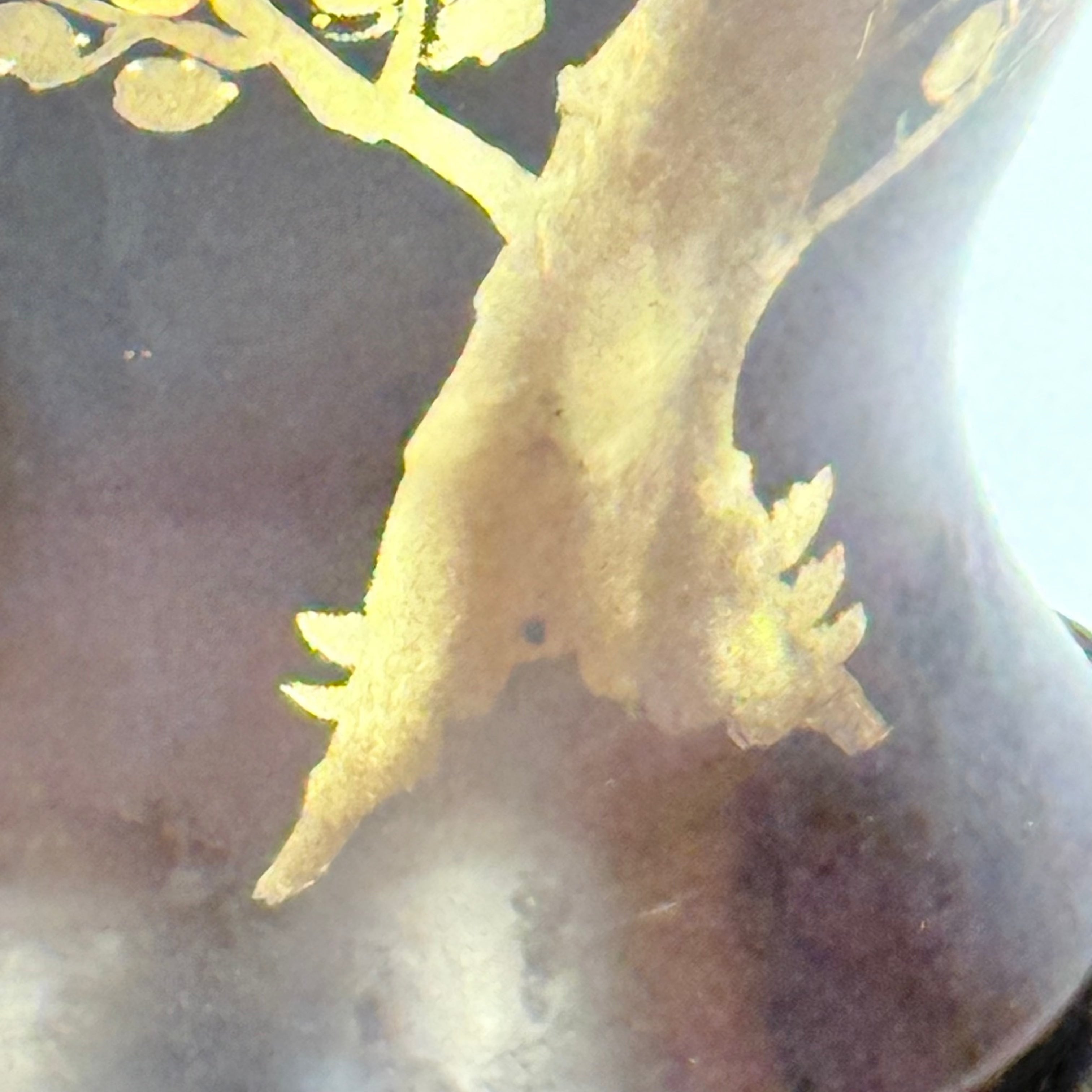 Brown Asian Ceramic Lamp with Cherry Blossoms