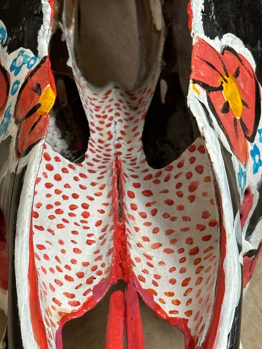 Hand Painted Black and Red Floral Cow Skull by Charlie Harris