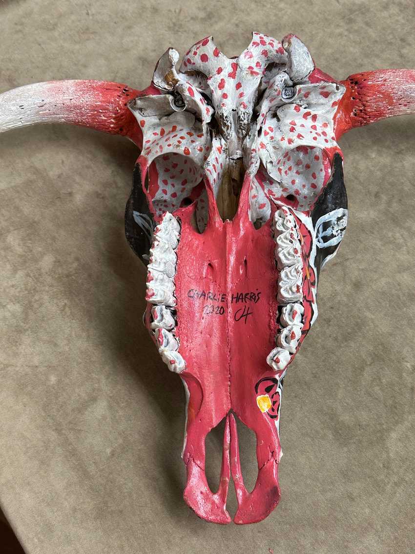 Hand Painted Black and Red Floral Cow Skull by Charlie Harris