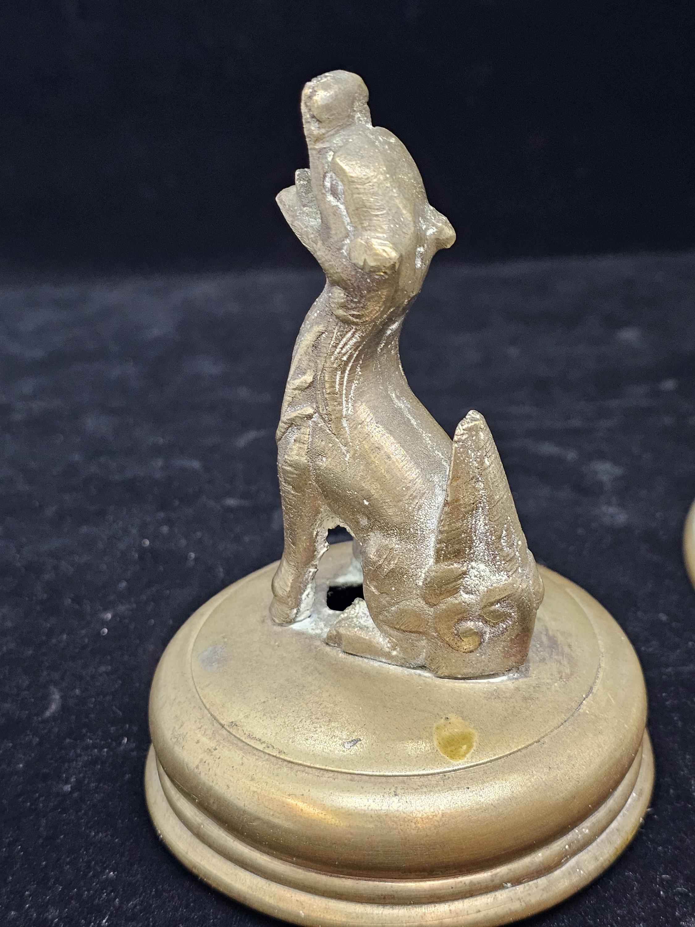dog removable top