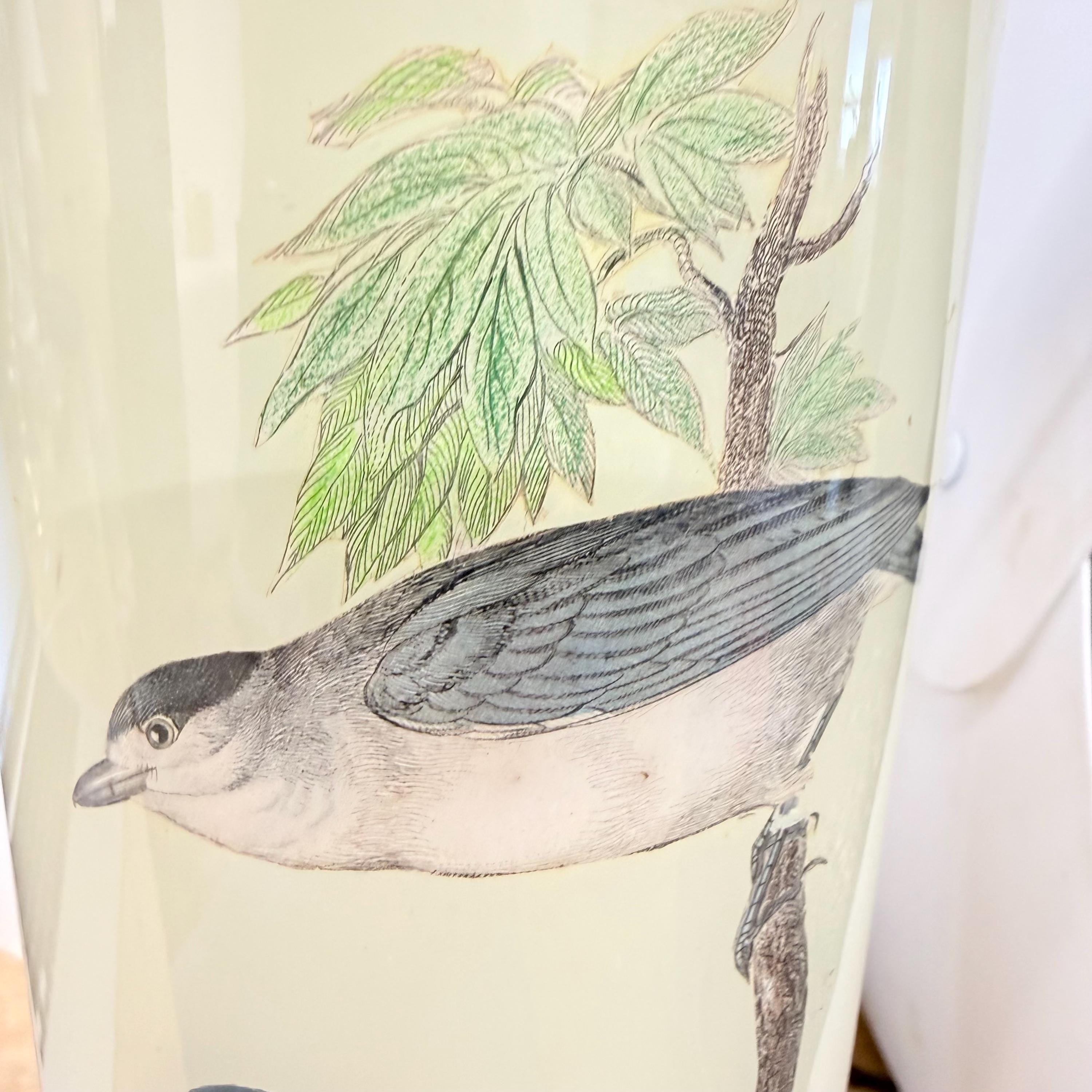 Reverse Handmade Decoupage Bird Lamp, Artisan Small Decoupage Lamp, Vintage Nature Bird Light